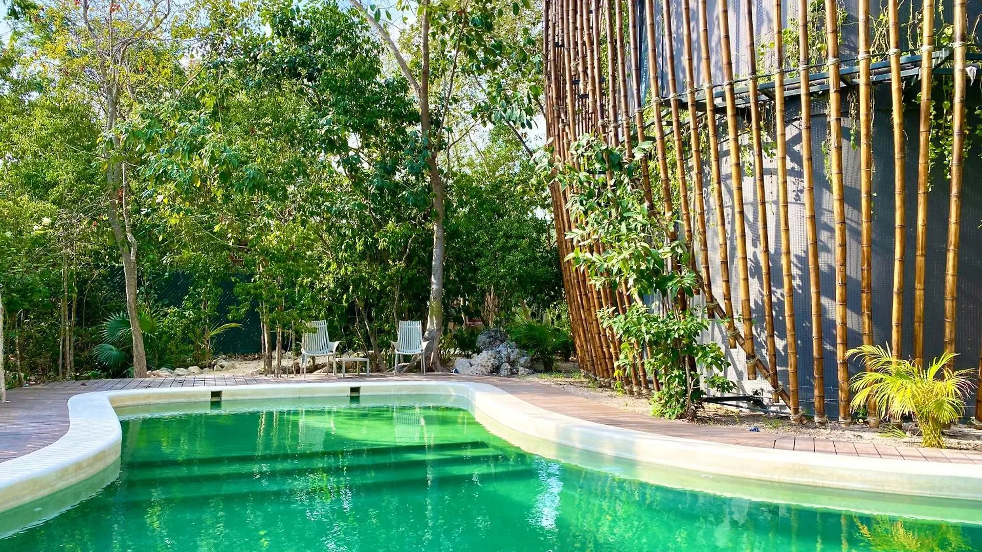 Living In The Noom By Andiani Apartment Cancun Mexico
