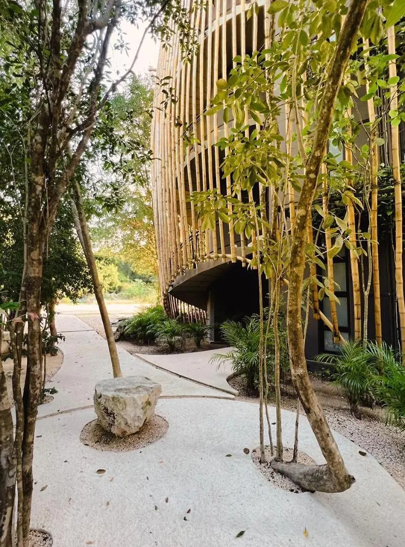 Living In The Noom By Andiani Apartment Cancun