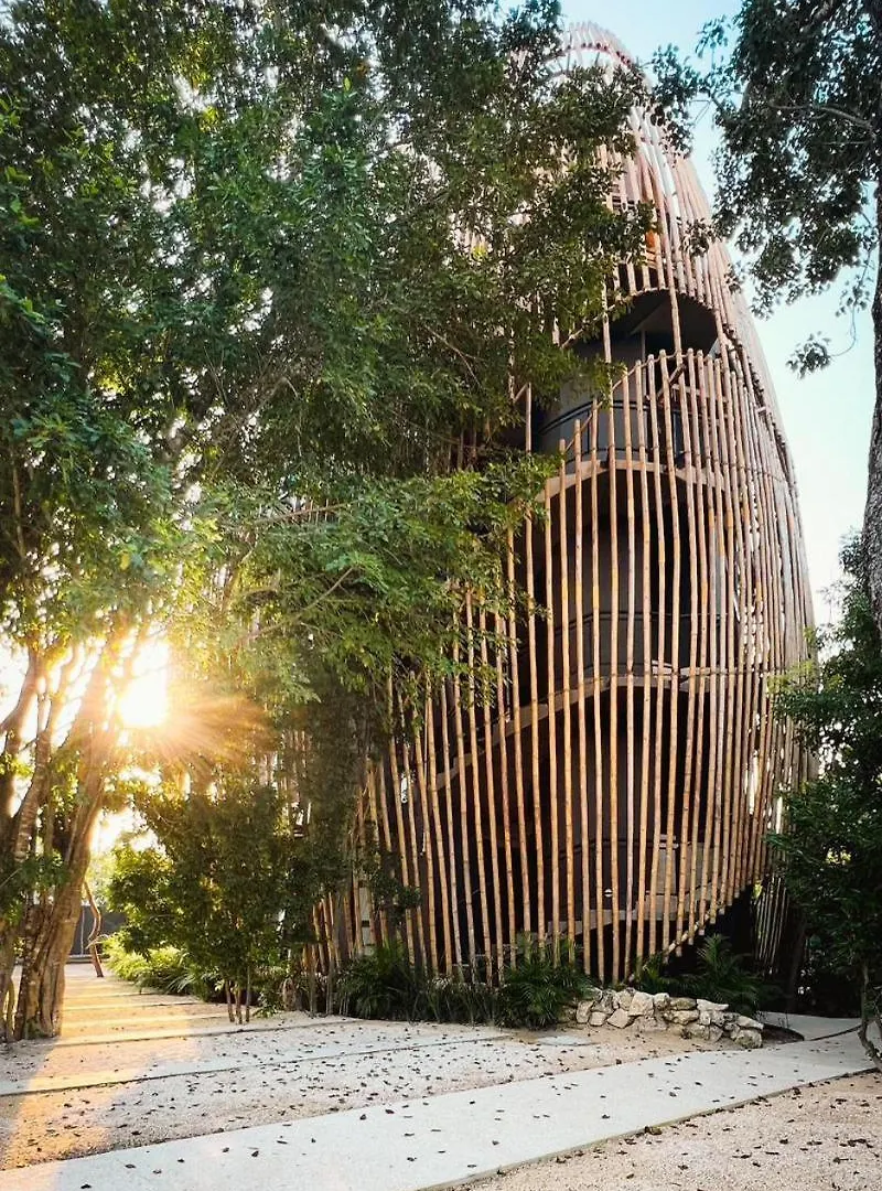 Living In The Noom By Andiani Apartment Cancun Mexico